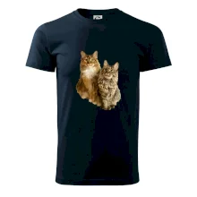 Kočky vectorizované  (Moňas)