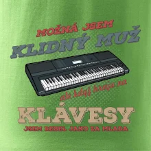 Klávesy klidný muž