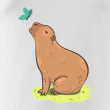 Kapybara a motýlek