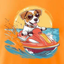 Jack russell teriér na vodním skútru