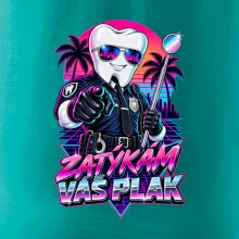 Zatýkám váš plak