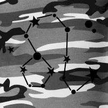 Souhvězdí - Leo - Lev