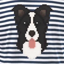 Border kolie Pixel