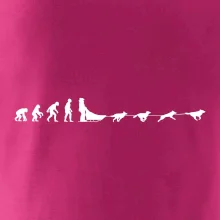 Evoluce psí spřežení