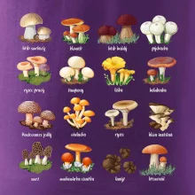 Atlas hub - triko s houbami