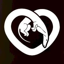 Jezevčík srdce - plný