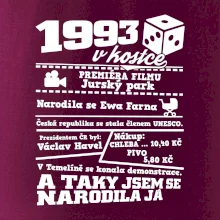 1993 v kostce