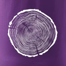 Letokruhy 85 bez věku