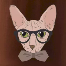 Hipster sphynx