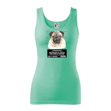 Lump a darebák mopsík