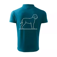 Lagotto romagnolo stojící