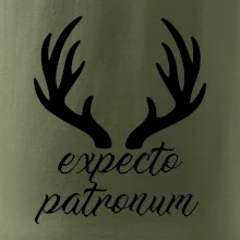 Harry - Expecto patronum