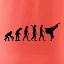 Karate Evoluce - kop