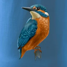 Lednáček kreslený