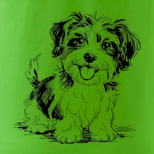 Havanský psík skica