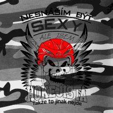 Nesnáším být sexy - Hokejista