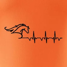 Hlava koně EKG