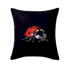 Beruška za ze předu černá fotka