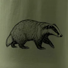 Zvířata Krkonoš – jezevec lesní