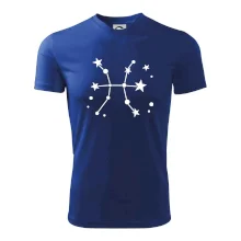 Souhvězdí - Pisces - Ryby Souhvězdí - Pisces - Ryby