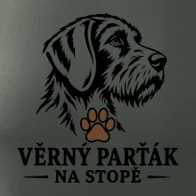 Věrný parťák na stopě lovecký pes