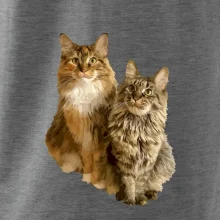 Kočky vectorizované  (Moňas)