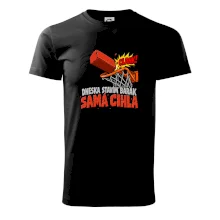 Dneska stavím barák samá cihla