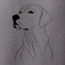 Labrador černá kresba