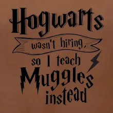 Harry - Hogwarts wasn’t hiring, so I teach Muggles instead