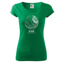 Plechý - vrstevnice v kruhu