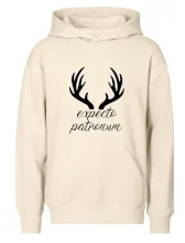 Harry - Expecto patronum