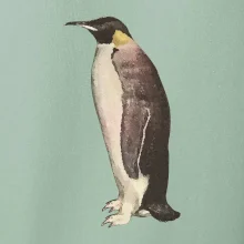 Tučňák kreslený vodovými barvami