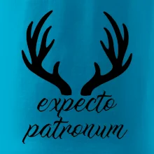 Harry - Expecto patronum Harry - Expecto patronum