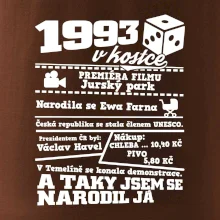 1993 v kostce