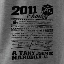 2011 v kostce
