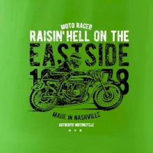 Raisin Hell Moto Racer
