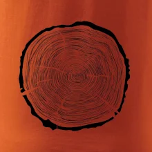 Letokruhy 65 bez věku