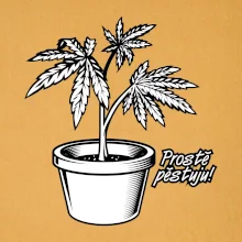 Konopi prostě pěstuju