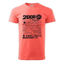 2008 v kostce