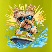 Yorkšírský teriér na vodním skútru