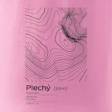 Plechý - vrstevnice v obdélníku