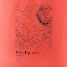 Plechý - vrstevnice v obdélníku