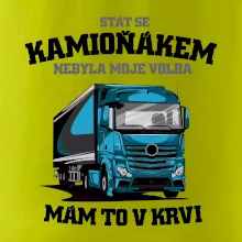 Stát se kamioňákem nebyla moje volba