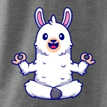 Yoga meditace - lama