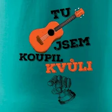 Tu kytaru jsem koupil kvůli tobě