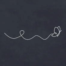 Dráha letu motýla - vlnovka