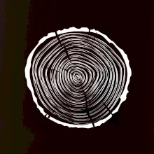 Letokruhy 30 bez věku