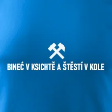 BINEĆ V KSICHTĚ A ŠTĚSTÍ V KOLE﻿