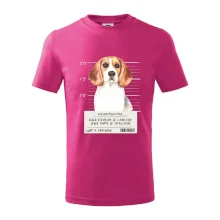 Lump a darebák bígl