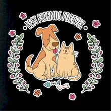 Kočka a pes best friends